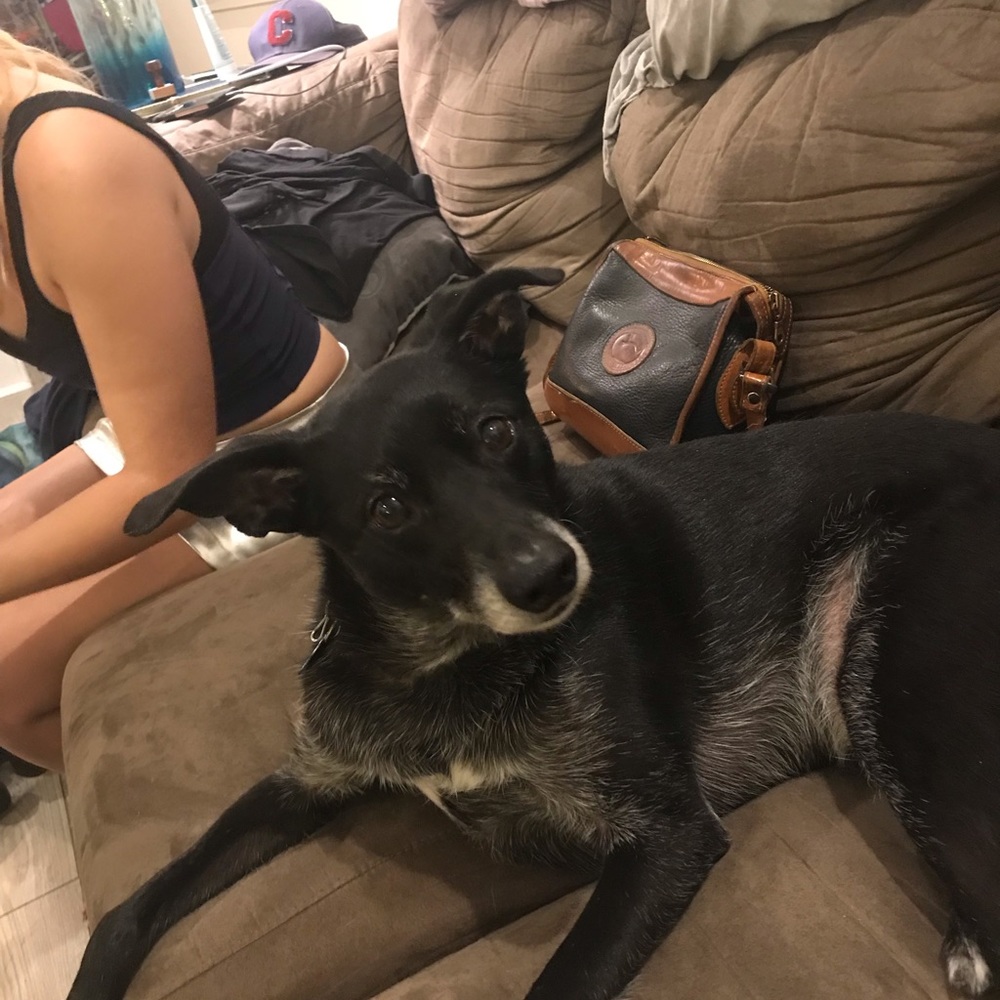 Meet your Posher, Julie